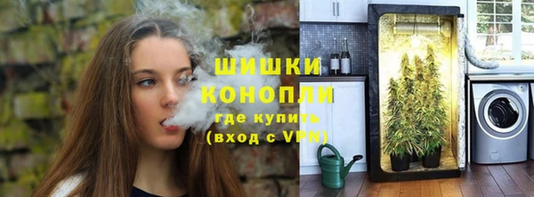 прущая мука Гусев